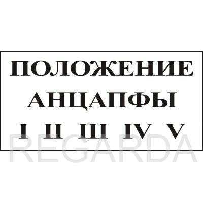 Табличка "Положение анцапфы" (пластик, 250х140 мм)